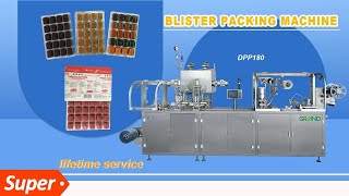 DPP-180 Automatic Blister Packing Machine for Fish Food Bloodworms #bloodworm #fishfood