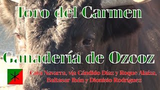 Toro de Ozcoz para celebrar el día del Carmen en Villaverde de Medina