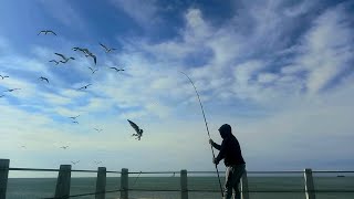 DIA DE PESCA Y UN INCIDENTE CON UNA GAVIOTA