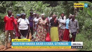 HIPPO KUNYAMARIA ANDU A KARIA, GITHUNGURI