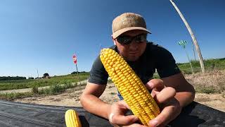 Comparing hybrids and going on a helicopter ride