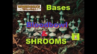 Warhammer TOW, bloodbowl and shrooms