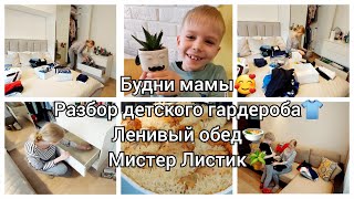 БУДНИ МАМЫ/ УБОРКА/ РАСХЛАМЛЕНИЕ/ ОРГАНИЗАЦИЯ/ РИС С КУРИЦЕЙ В ДУХОВКЕ/ СТРИЖКА/ МИСТЕР ЛИСТИК