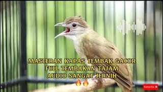 KAPAS TEMBAK GACOR 🔥🔥|| FULL TEMBAKAN TAJAM MATERI WAJIB UNTUK BURUNG LOMBA🔥#masteranburung