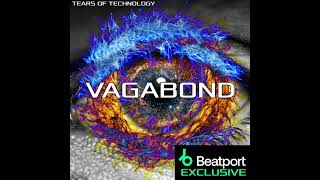 Vagabond (Neuro Breaks Mix)