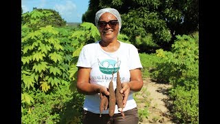 Atuação feminina preserva atividade rural na Paraíba - Parte II