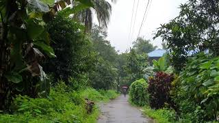 Kerala Rainy Morning