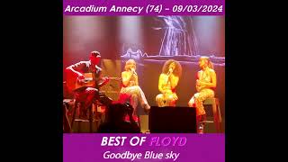 Best Of Floyd - Goodbye Blue Sky - Arcadium Annecy - 9 Mars 2024 #shortvideo