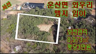 [딸기298]충남 서산시 운산면 와우리 임야  2,714평 매매 딸기공인중개사 041.662.0880