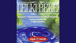 Tükörképem