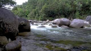 Mossman Gorge Walk  - Daintree National Park - Port Douglas