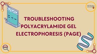 Troubleshooting Polyacrylamide Gel Electrophoresis (PAGE)