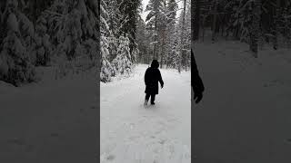 Walking in Finland forest at -15 deg C