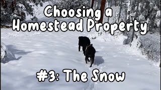 Choosing A Homestead Property, Lesson #3: The Elements  - Snow