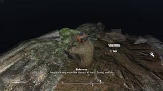 Don't scare the fish, asshole (Fallout 4 random moment)