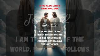 John 8:12 I am the light of the world. Whoever follows me will never walk in darkness #bible #john8