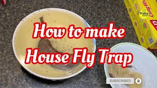 How to make House Fly Trap 100 % works | Less than 5 Minute Crafts: How to get rid of the House Fly?