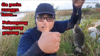 Mancing Nila | Spotnya Terlalu Ramai !! Umpan jatuh langsung disambar