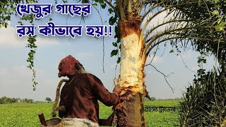 শীতের আগমন শুরু হয়েছে খেজুর গাছ থেকে রস সংগ্রহ। ৭০ বছর বয়সের কেসমত চাচা। 