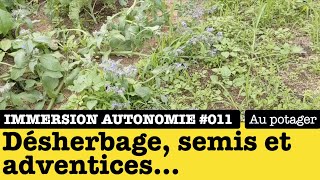 Immersion Autonomie : désherbage, observation, utiliser les plantes compagnes, compost  (2/2)