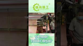 Veneer roller dryer｜Woodworking Plywood Core Roller Veneer Dryer｜Máy sấy con lăn veneer