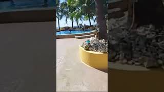 wow!  may pool   & dagat  #youtubeshrot #viralvideo #trending