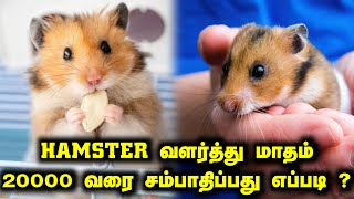 Small Business Ideas in Tamil/Siru Tholil Ideas in Tamil/Suya Tholil Ideas in Tamil/Business Tips