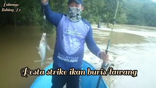 Hari cuti berpesta bersama  ikan buris lgi.....Ep-19