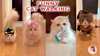 Funniest Animals 2022 😂 Funniest Cats 😺 | Pets Family