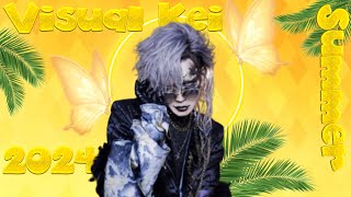 Summertime Visual Kei! BEST New Releases 2024