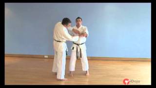 Karate - Intro to Goju-Ryu basics - punches and blocks