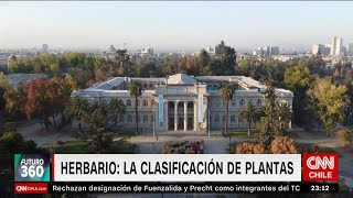 El Herbario Nacional en Futuro 360 🌿