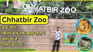 Chhatbir Zoo Chandigarh Tourist Place | Best Place To Visit in Chandigarh, Mohali, Zirakpur | 2024