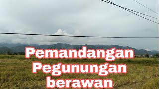 Pemandangan persawahan || Pegunungan yang berawan