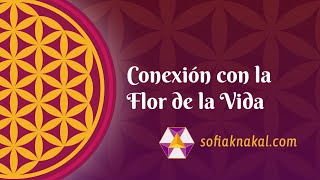 Conexión Con La Flor De La Vida