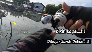 casting kakap spot viral Tambak sumur||ultralight casting