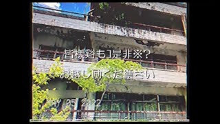 【謎の映像・ＣＭ】大型連休の■■地方【特集】