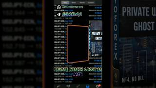 Private Wealth Ghost EA MT4 Automated Forex Robot الاكسبرت الأكثر ربحا في الفوركس