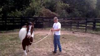 Horse’s first experience with a flank rope and Marshall Guin gets in on the act