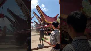 Suasana Makan BERSAMA di RITUAL PEMAKAMAN TORAJA