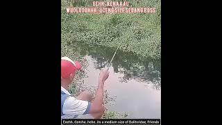 Umpan Mancing Sisa Bikin Bahagia / Fun Fishing With Left Over Crackers Bait  #Shorts