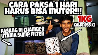 Cara Paksa Memutarkan 1 KG KALDNESS K1 Yang masih baru!  UNBOXING dan INSTAL media sump filter !!!