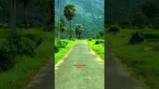 Seetharkund Palakkad 📍🌴😍 #short #seetharkundpalakkad #seetharkund #trendingshort #shortvideo