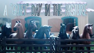 A "Quiet" Day In The Pasture - Schleich Horse Short Film - |Phoenix Stables