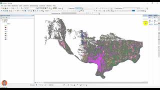 how to convert shapefile to raster in ArcGIS