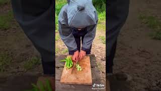 Stir fry spicy pork belly with bamboo shoots