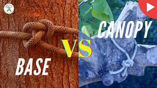 Canopy Ties VS Base Ties, Choose your side! - Shanes Trees