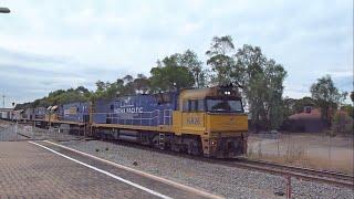 Pacific National Freight Train Near Mawson Lakes