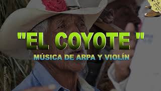 SON DE ARPA Y VIOLÍN - EL COYOTE