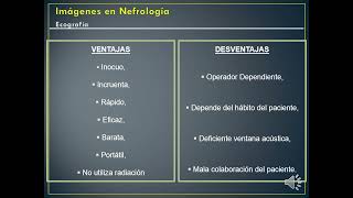 IMAGENES EN NEFROLOGIA 2021 CON AUDIO Dr Leguizamon